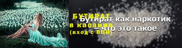 шишки Горно-Алтайск