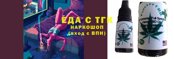 шишки Горно-Алтайск