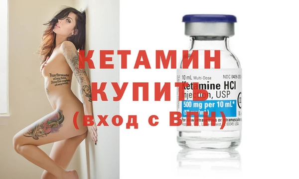 шишки Горно-Алтайск