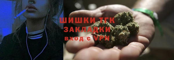 шишки Горно-Алтайск