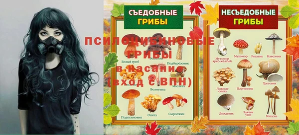 шишки Горно-Алтайск