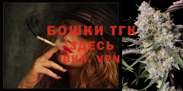 PSILOCYBIN Горнозаводск