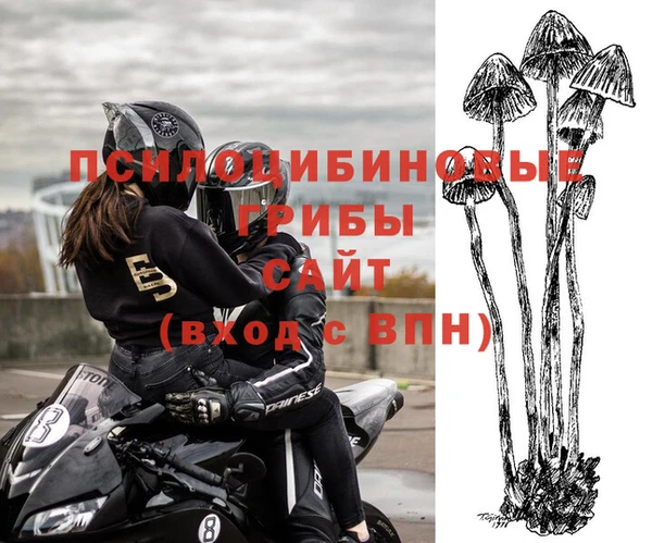 шишки Горно-Алтайск