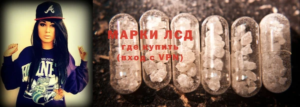 PSILOCYBIN Горнозаводск