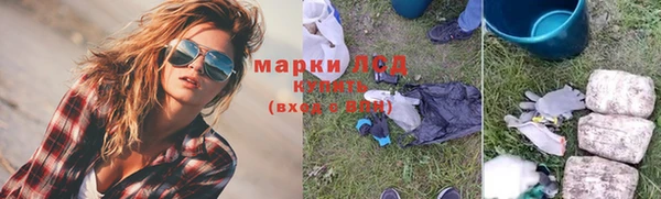 шишки Горно-Алтайск