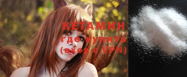 шишки Горно-Алтайск