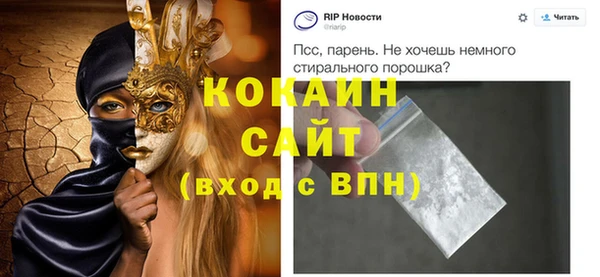 шишки Горно-Алтайск