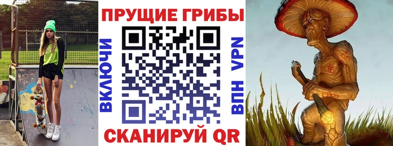 как найти наркотики  Мценск  Псилоцибиновые грибы MAGIC MUSHROOMS 